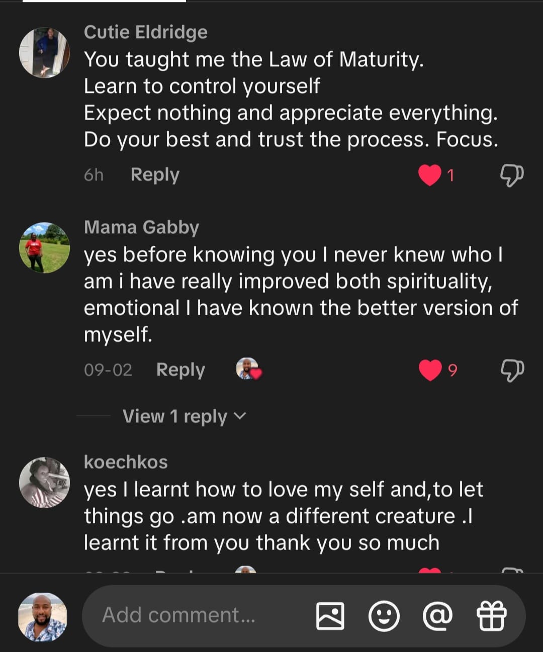 Community testimonial 17